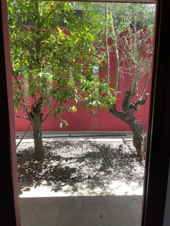 Villa Magnolia Montpellier Esterno foto